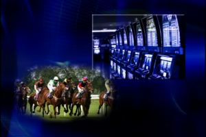 21 This Week ep 329 picture of horse racing in maryland