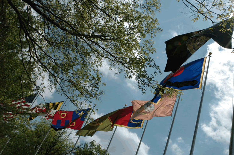 Flags at Police Memorial Picture