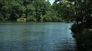 Lake Needwood picture