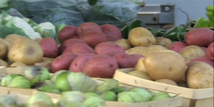 Farmers market with potatoes and other fresh produce