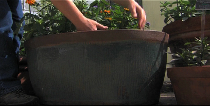 picture of planing in a pot