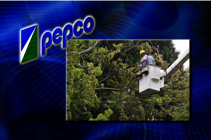 image for 21 This Week On The PEPCO Tree Trimming Controvers
