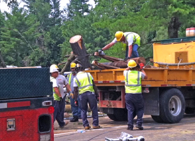 Tree debris removal work