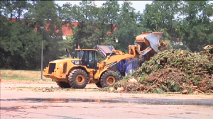 Tree debris removal equipment after June 29 storm