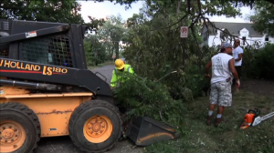 Image of contractor removing fallen trees
