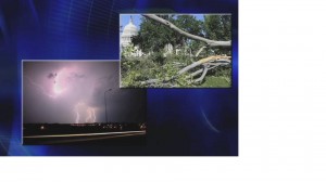 Image of trees down and lightening