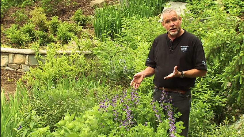 Brookside Gardens rainwater management