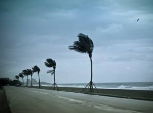 hurricanewinds