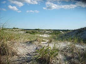 image of Cape Cod Sandy Neck Dunes