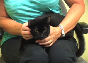 black cat spock with Kathi Stanhope