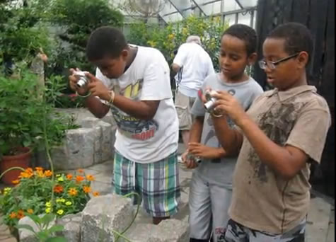 Children taking photographs at Wings of Fancy