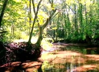 Ten Mile Creek image from Clarksburg, MD