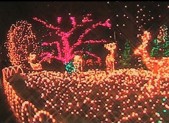 Brookside Garden of Lights