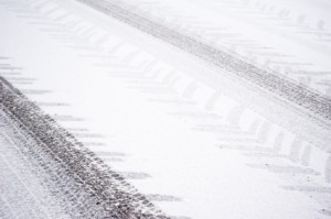 Tracks in the snow