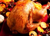 turkey-featured image