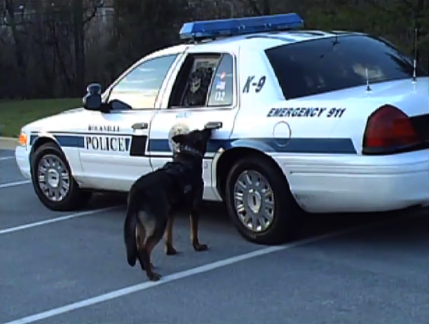 Rockville's K-9 Unit photo