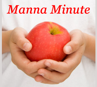 Manna Food image 3