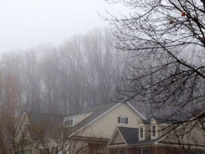 fog1