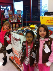 photo of Brownies Manna Food Drive