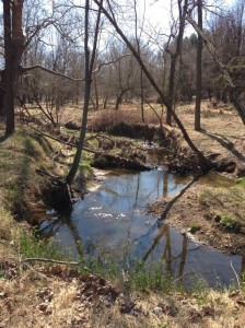 potomacwatershed