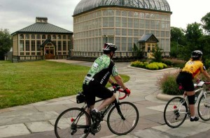 Arboretum in Druid Hill  Park 