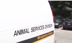 Animal Services MoCo Van