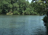 lake needwood for slider 450x280