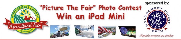 Picture Fair Photo Contest logo for post 590w