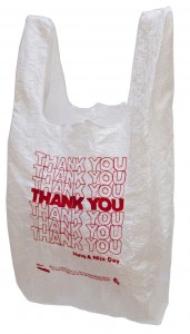 1 Lauren Dicioccio Thank you plastic bag embroidered 1