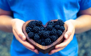 heart of berries