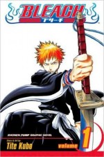 Bleach Volume 1