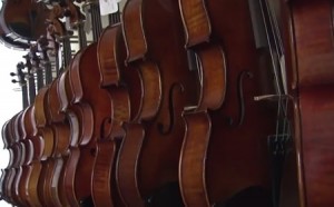 Violins 450x280