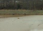 crtw 195 sediment pond