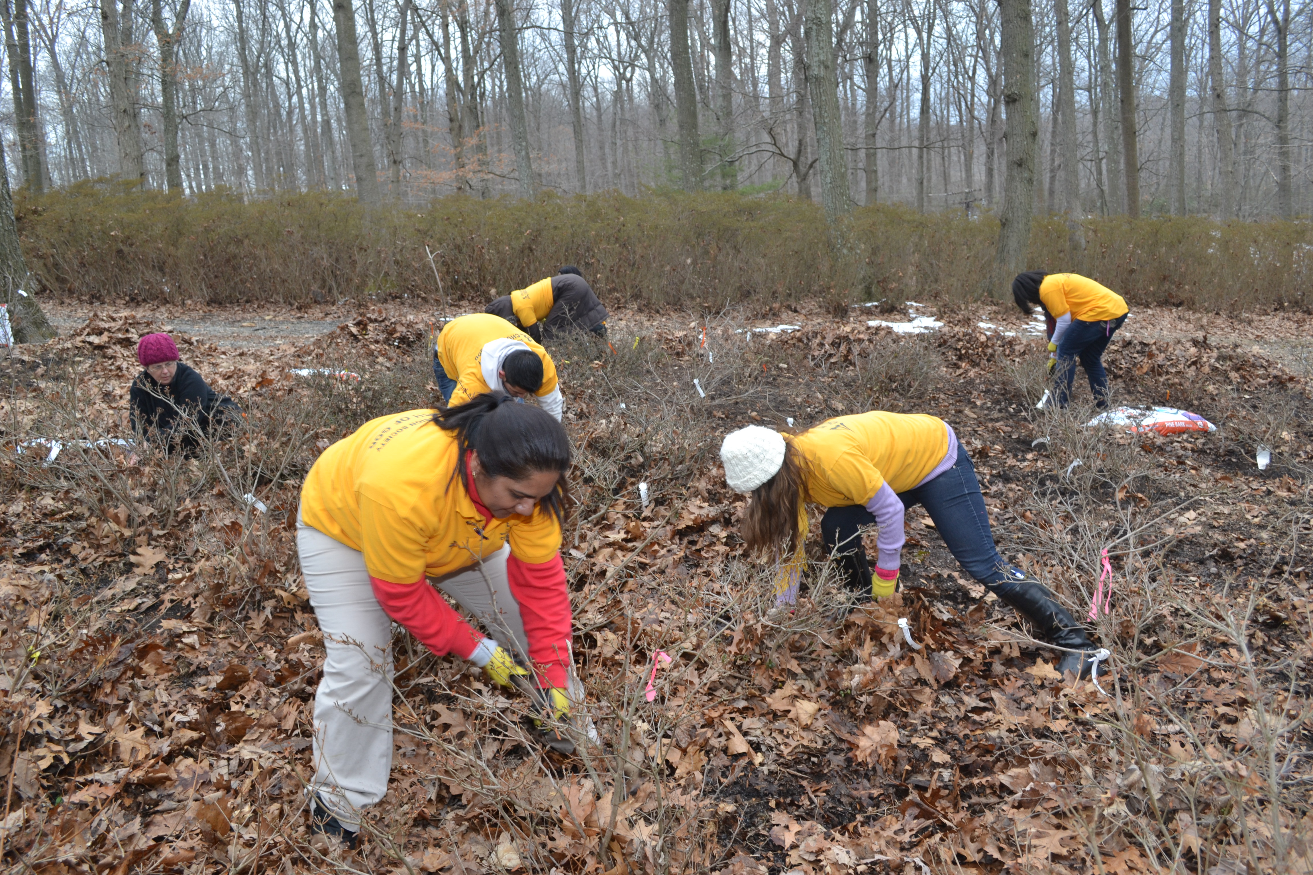 Church Volunteers Give Azalea Garden A New Face Montgomery