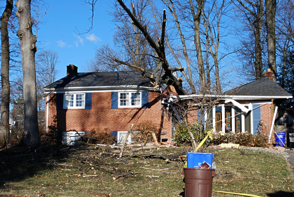 photo of house with tree damage