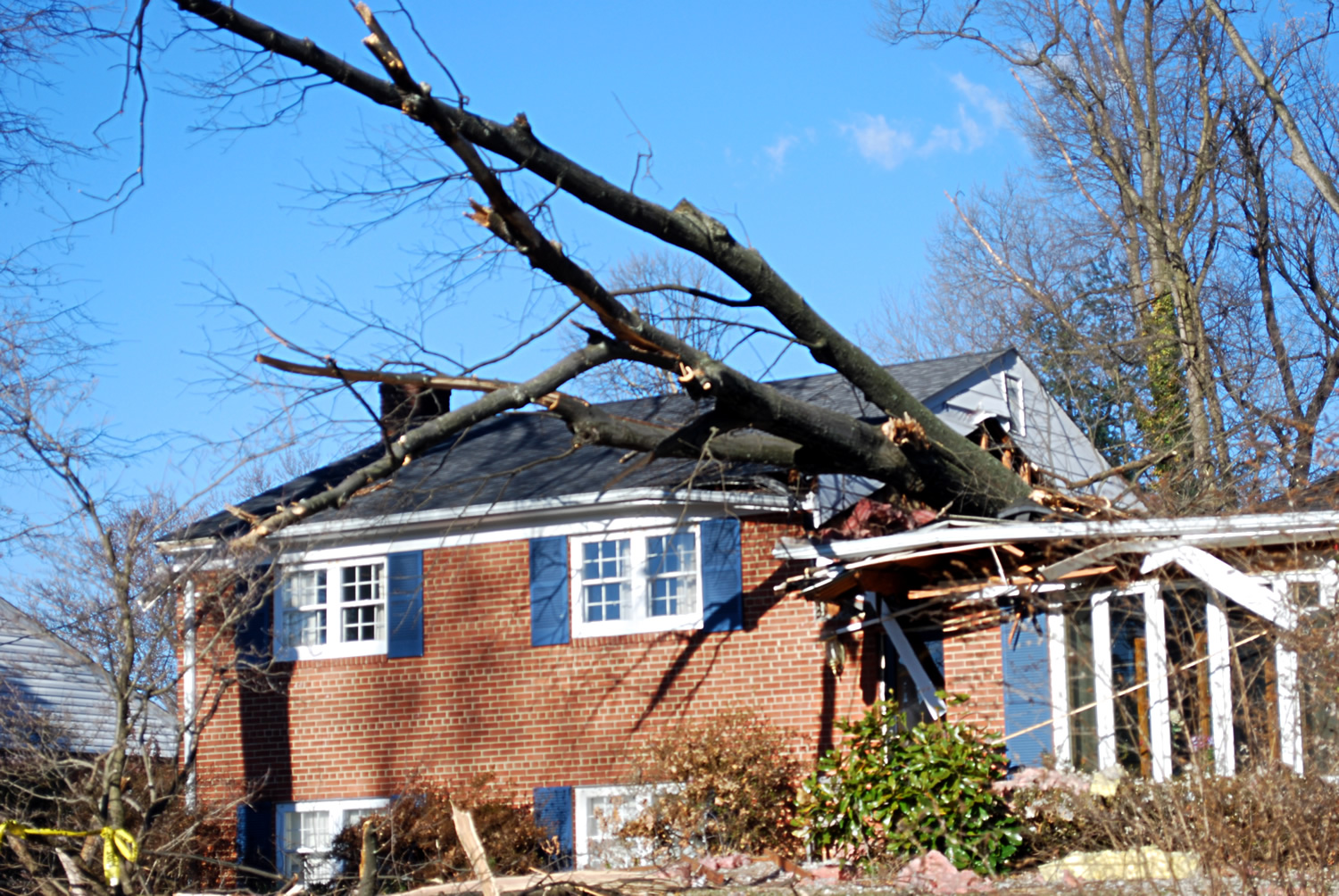 photo of house with tree damage