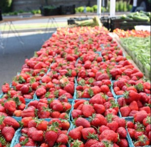 photo strawberries at rockville farmers market