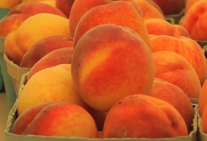 photo of fresh peaches