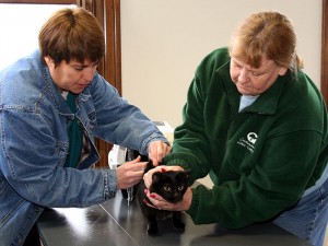 rabies_vaccine_clinic_002