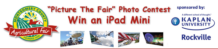 Picture Fair Photo Contest logo for post 590w