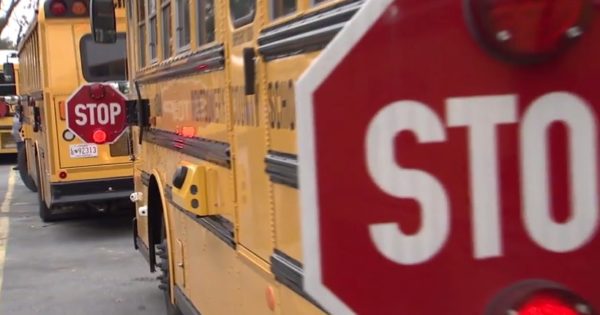 photo of school bus stopped with camera on side