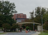 NIH from Wisconsin Ave Tall Brick Building Background