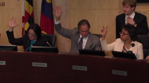 photo of County Council voting