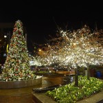 photo of holiday lights in Bethesda