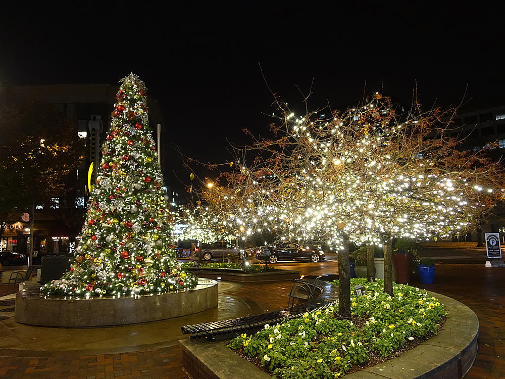 photo of holiday lights in Bethesda