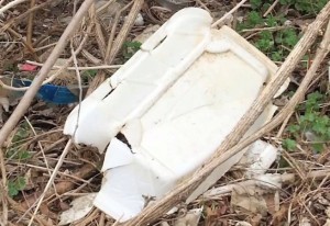 photo of Styrofoam in trash