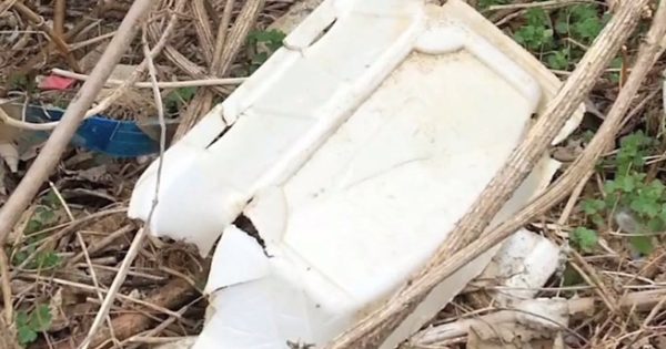 photo of Styrofoam in trash