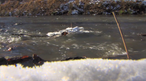 photo of montgomery county park in winter