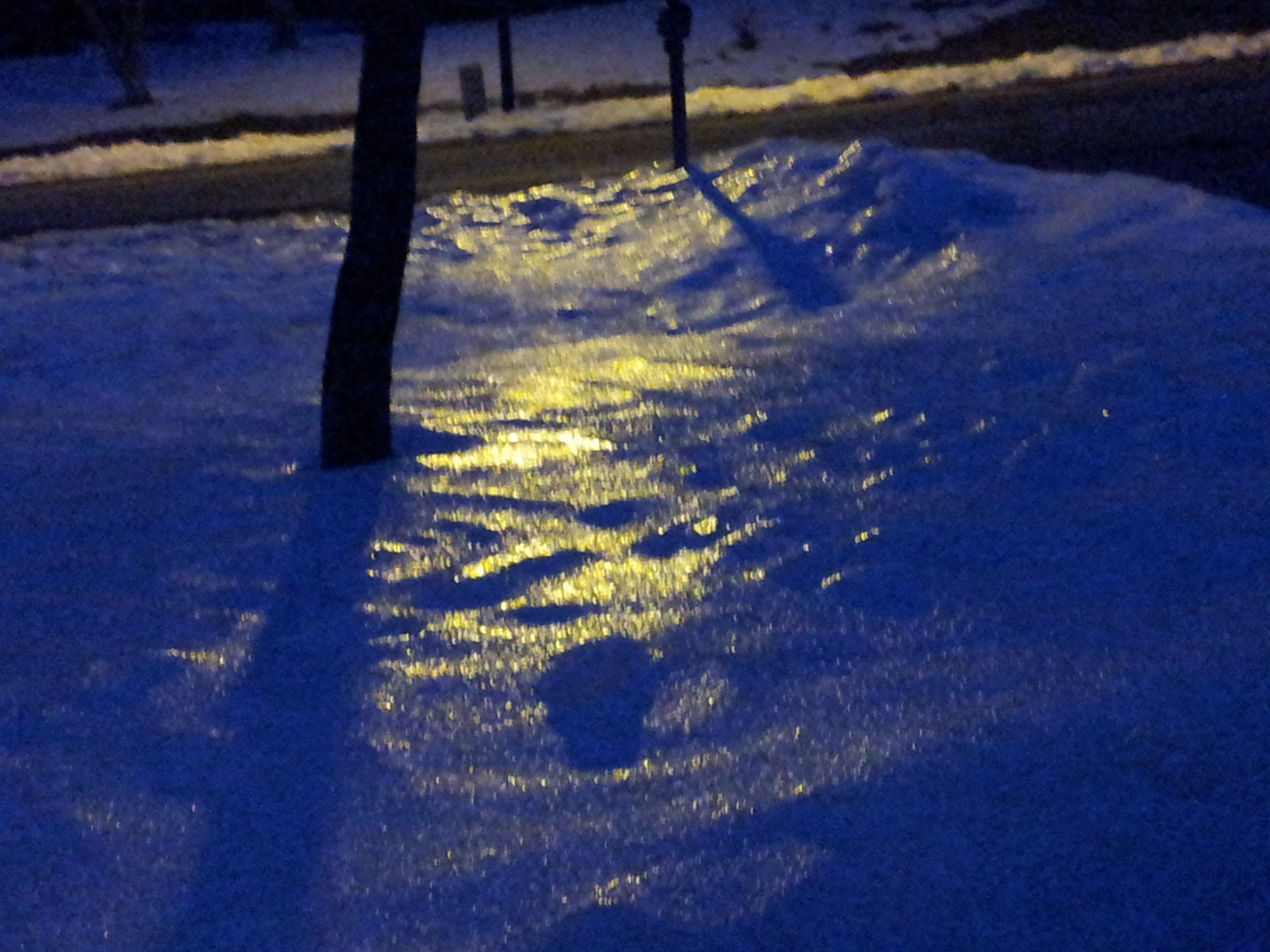 photo of early morning reflection on snow