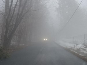 FOG